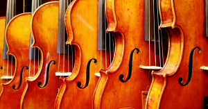 Violins Instrument